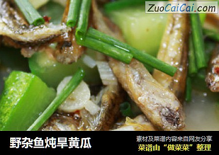 野杂鱼炖旱黄瓜