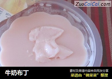 牛奶布丁