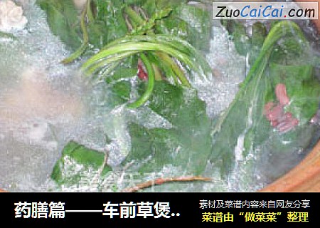 药膳篇——车前草煲猪小肚