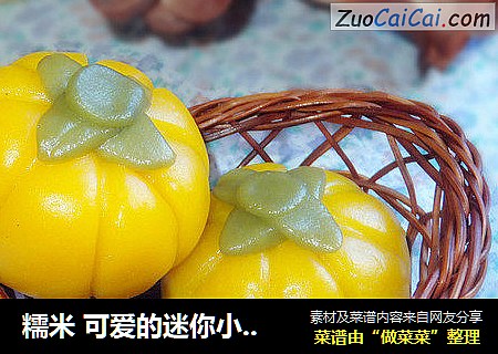 糯米 可爱的迷你小南瓜