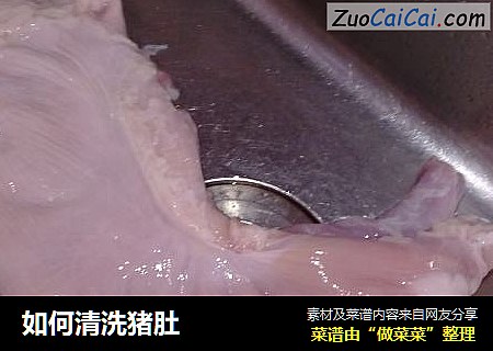 如何清洗猪肚