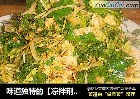 凉拌荆芥