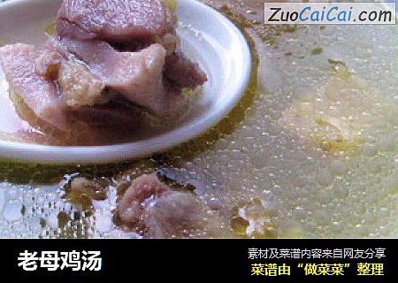 老母鸡汤