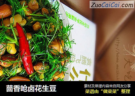 茴香呛卤花生豆