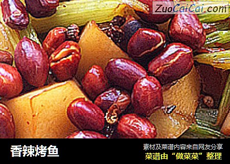 香辣烤鱼