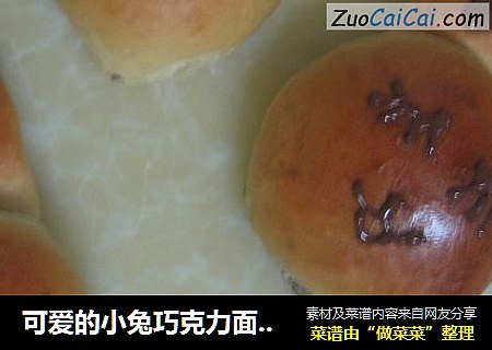 可爱的小兔巧克力面包。