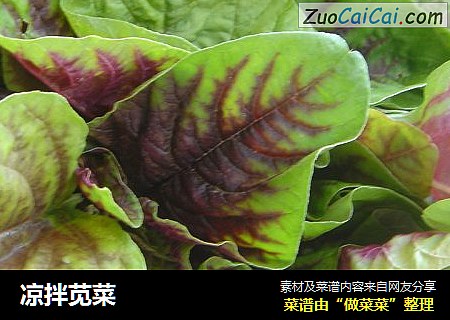 凉拌苋菜