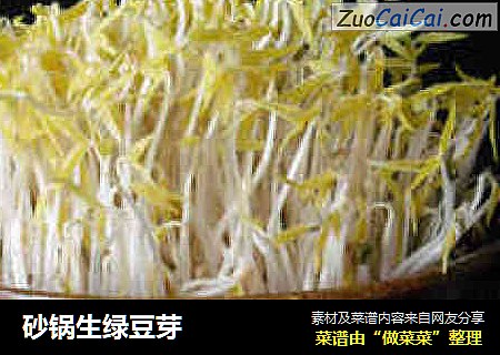 砂锅生绿豆芽