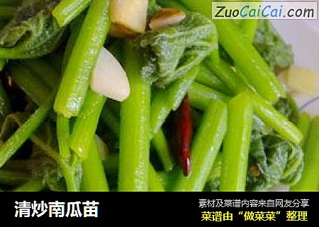 清炒南瓜苗