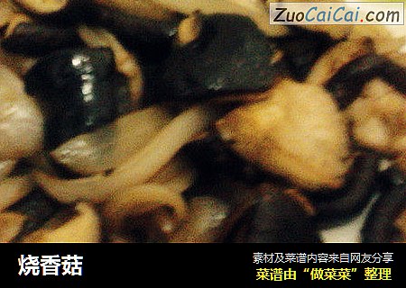 烧香菇