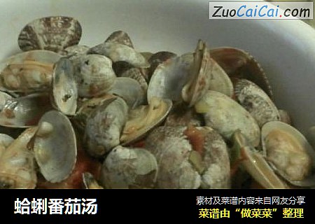 蛤蜊番茄汤