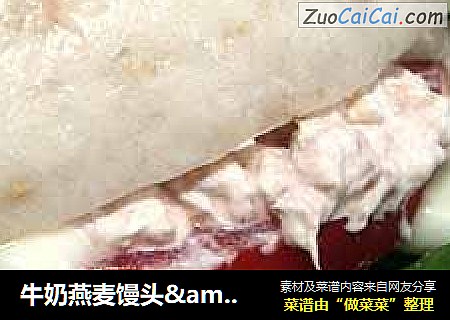 牛奶燕麦馒头&中式金枪鱼汉堡