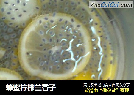 蜂蜜柠檬兰香子