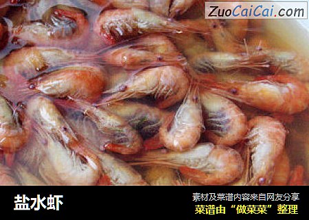 盐水虾
