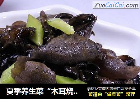 夏季养生菜“木耳烧茄参”