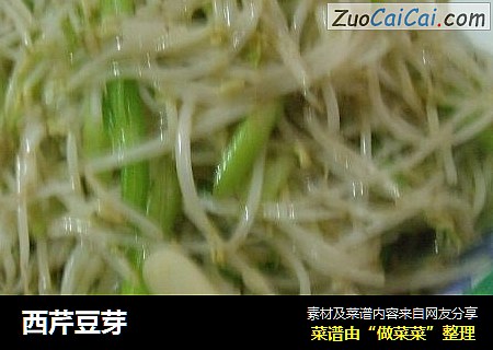 西芹豆芽