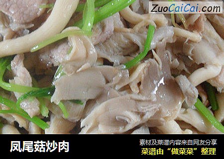 凤尾菇炒肉