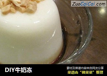 DIY牛奶冻