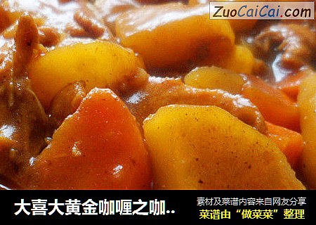 大喜大黄金咖喱之咖喱土豆鸡肉丝