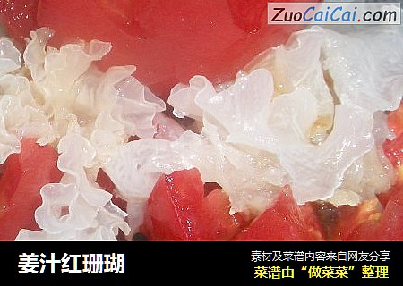 姜汁红珊瑚