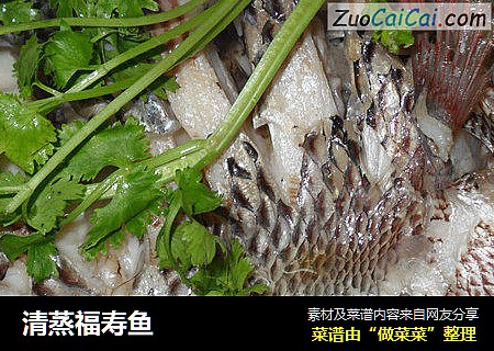 清蒸福寿鱼