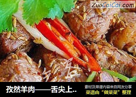 孜然羊肉——舌尖上的吃客