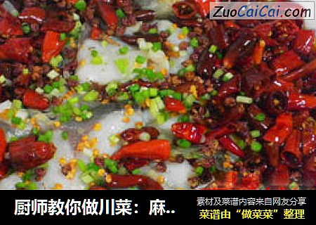 厨师教你做川菜：麻辣水煮鱼
