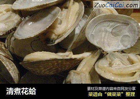 清煮花蛤