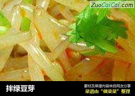 拌绿豆芽