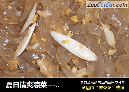 夏日清爽凉菜-------酸辣粉皮儿