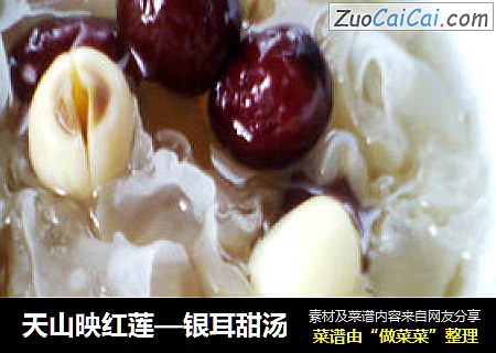 天山映红莲—银耳甜汤