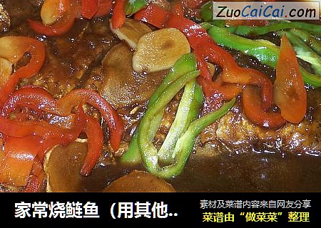 家常烧鲢鱼（用其他类似的鱼也行）