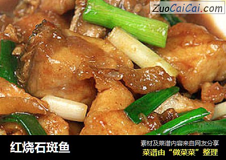 红烧石斑鱼