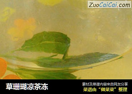 草珊瑚凉茶冻
