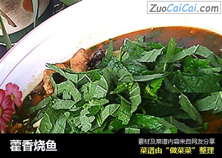藿香烧鱼