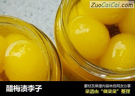 醋梅渍李子