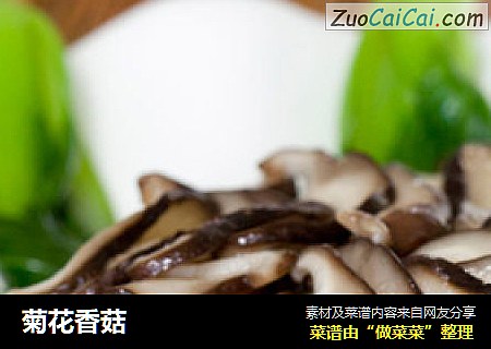 菊花香菇