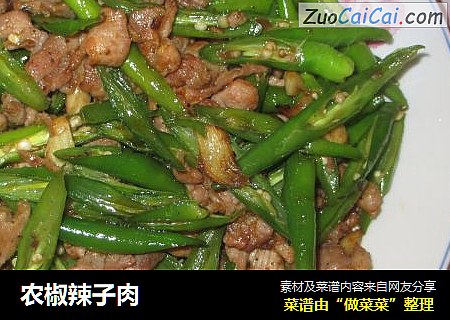 农椒辣子肉