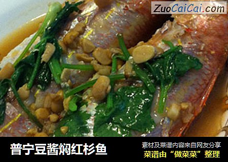 普宁豆酱焖红杉鱼
