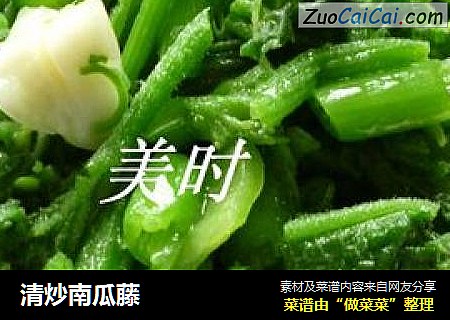 清炒南瓜藤