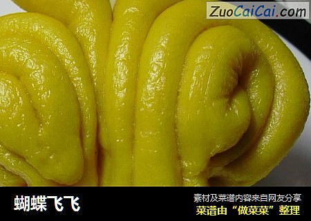 蝴蝶飞飞
