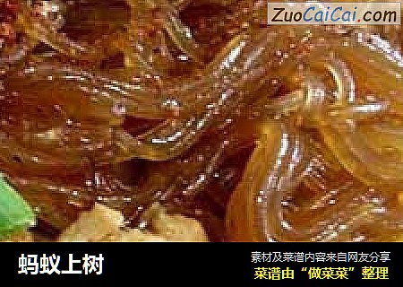 蚂蚁上树