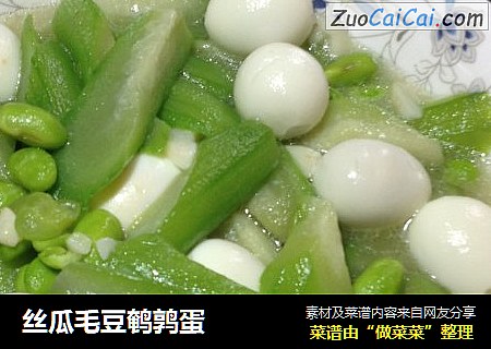 丝瓜毛豆鹌鹑蛋