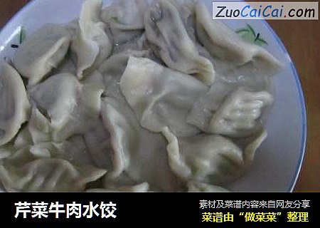芹菜牛肉水饺