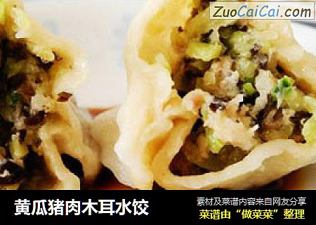 黄瓜猪肉木耳水饺