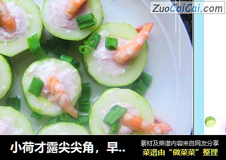早有鲜虾立上头