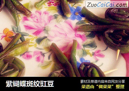 紫蝴蝶斑纹豇豆