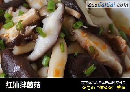 红油拌菌菇