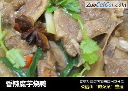 香辣魔芋烧鸭