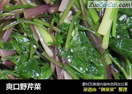 爽口野芹菜
